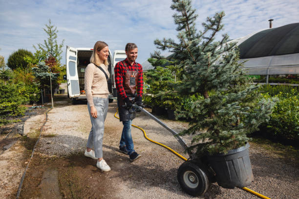 Rainbow Lakes Estates, FL Tree Removal Company